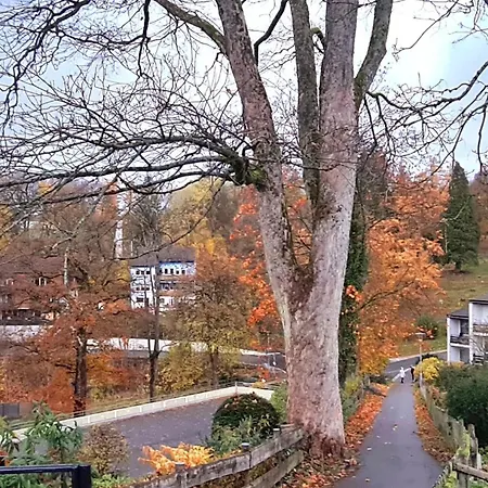 Apartament Bergmanns Dank Sankt Andreasberg